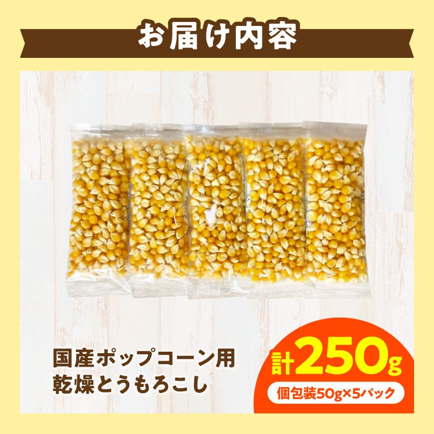 国産ポップコーン用（乾燥とうもろこし）　250g（個包装50g×5パック） 【 数量限定 期間限定 宮崎県産 ポップコーン 】[C07108]