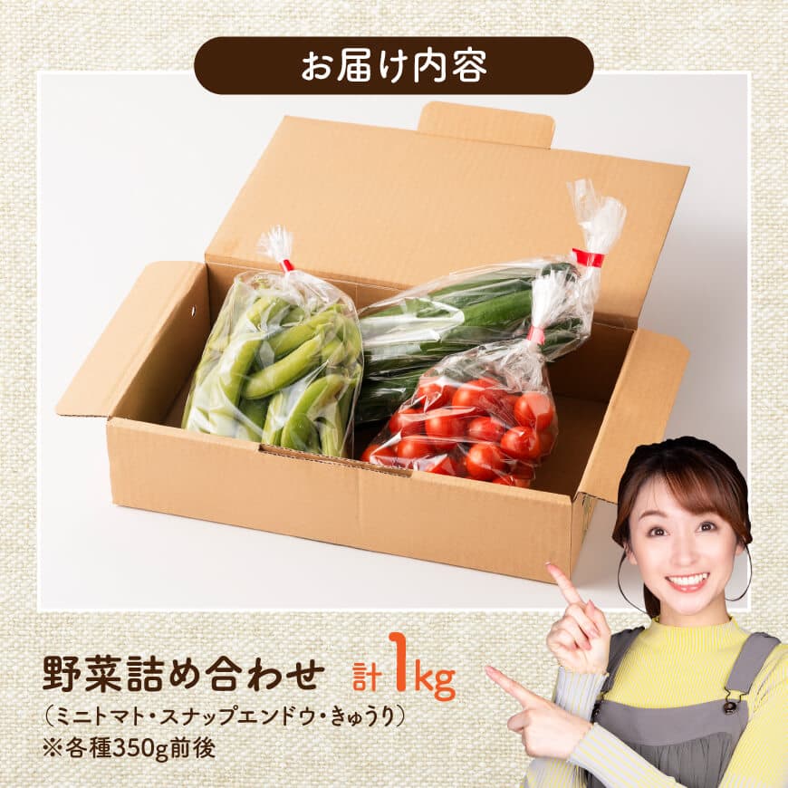 宮崎県佐光農園産　野菜詰め合わせ（ミニトマト・スナップエンドウ・きゅうり）計1kg 【 ミニトマト スナップエンドウ きゅうり 野菜 詰め合わせ 】[C13001]