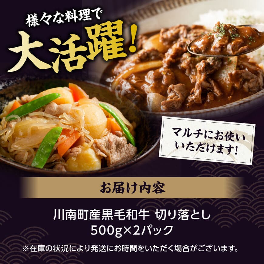 【訳あり】宮崎県産黒毛和牛　川南町産黒毛和牛切り落とし500g×2パック 【肉 牛肉 スライス ミヤチク】 [D05312]