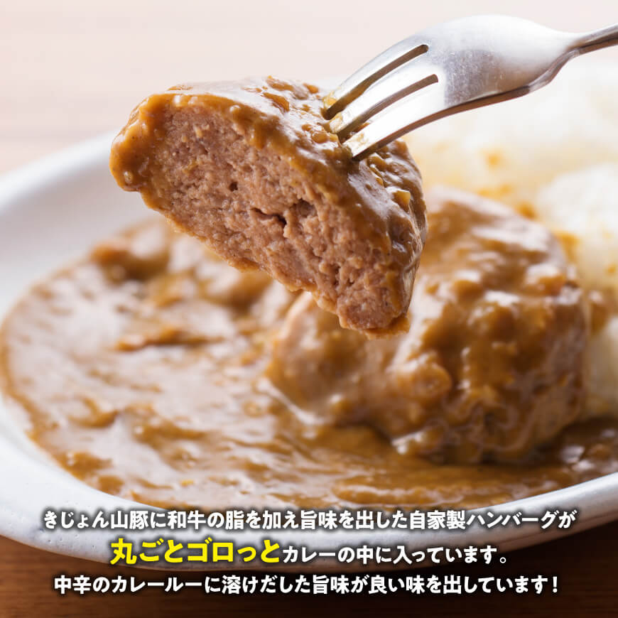 【3ヶ月定期便】月替わりおかずセット【 肉 豚 豚肉 ロース ハンバーグ カレー  】[D07503t3]
