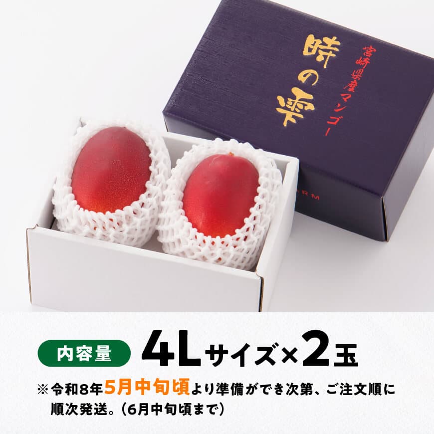 【令和8年発送】宮崎県産 完熟マンゴー「時の雫」 4L×2玉 【 果物 フルーツ マンゴー 宮崎県産 完熟マンゴー みやざきマンゴー 先行予約 数量限定 期間限定 】 [C08604]