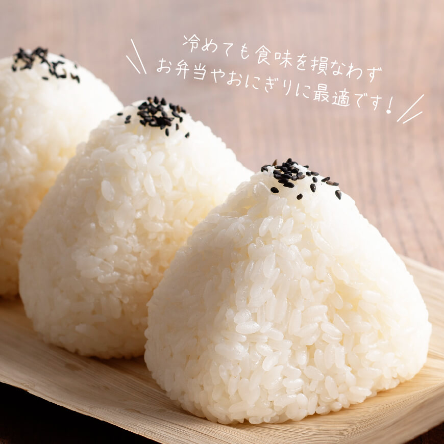 【令和7年産】宮崎県産米　村井農園産ミルキークイーン（精米）5kg 【 米 お米 白米 精米 ミルキークイーン 国産 宮崎県産 おにぎり 】[C10002]