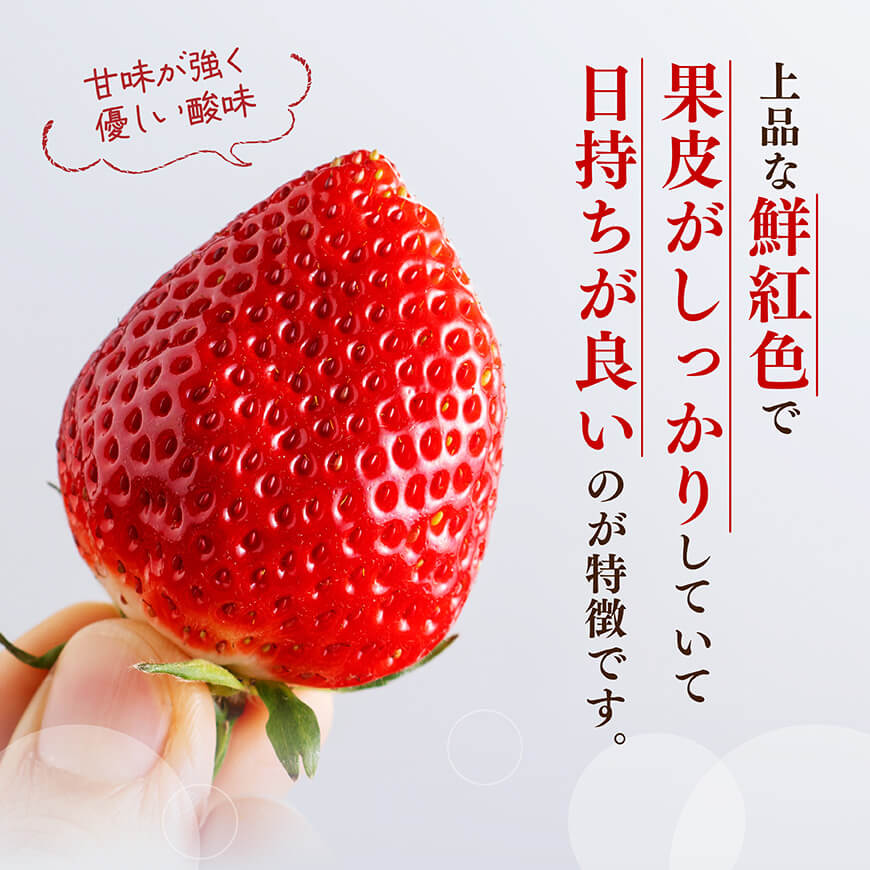 川南町産いちご「やよいひめ」430ｇ 【 期間限定 果物 イチゴ 苺 やよいひめ フルーツ 】[C11201]