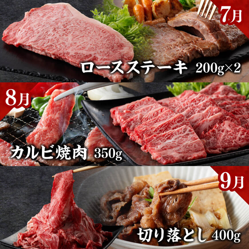【定期便】宮崎牛　匠の堪能セット 12か月定期便 【 肉 牛肉 国産 黒毛和牛 宮崎牛 全12回 焼肉 しゃぶしゃぶ 焼きしゃぶ BBQ 宮崎県 川南町 】[C11413t12]