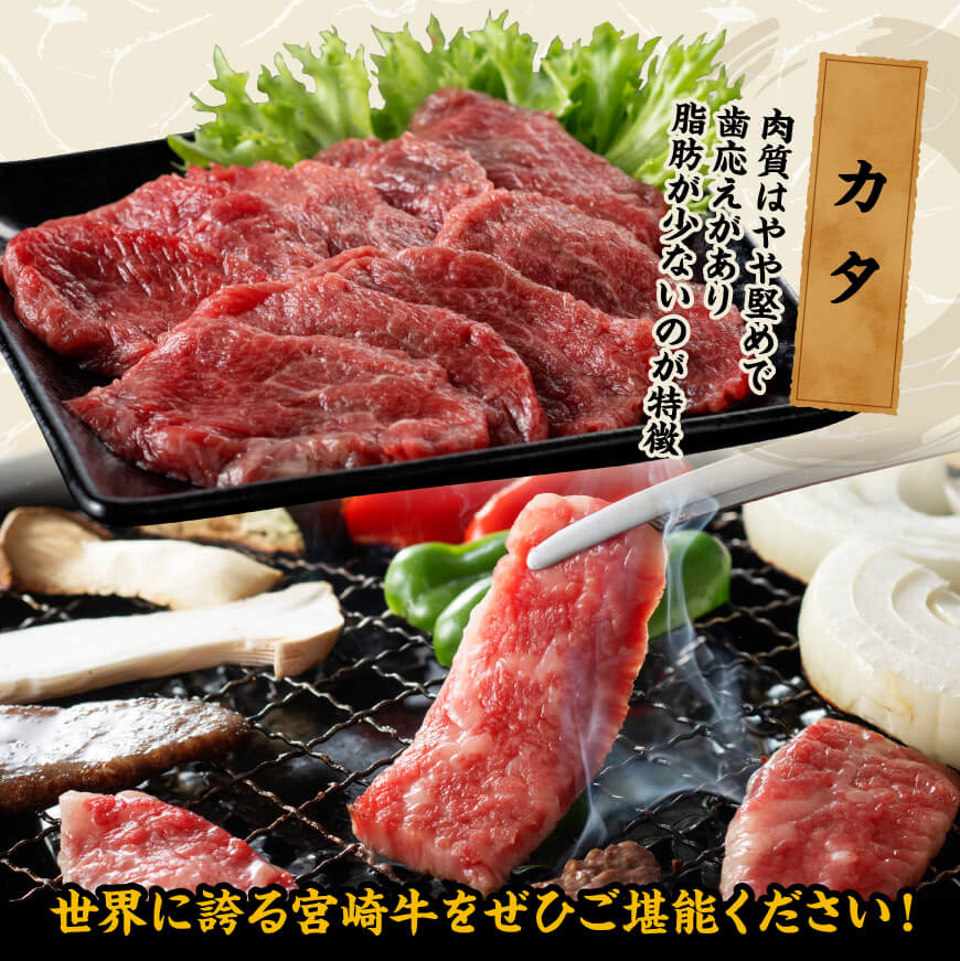 宮崎牛 焼肉 食べ比べ 3種盛 300g 【 肉 牛肉 国産 宮崎県産 黒毛和牛 和牛 焼肉 バーベキュー 】[D11416]