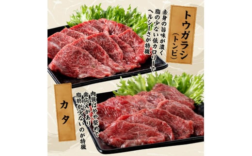 宮崎牛 焼肉 食べ比べ 6種盛 600g 【 肉 牛肉 国産 宮崎県産 黒毛和牛 和牛 焼肉 バーベキュー 】[D11417]