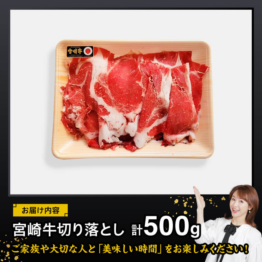 宮崎 牛切り落とし 500g【 肉 牛肉 国産 宮崎県産 黒毛和牛 和牛 】[D11418]
