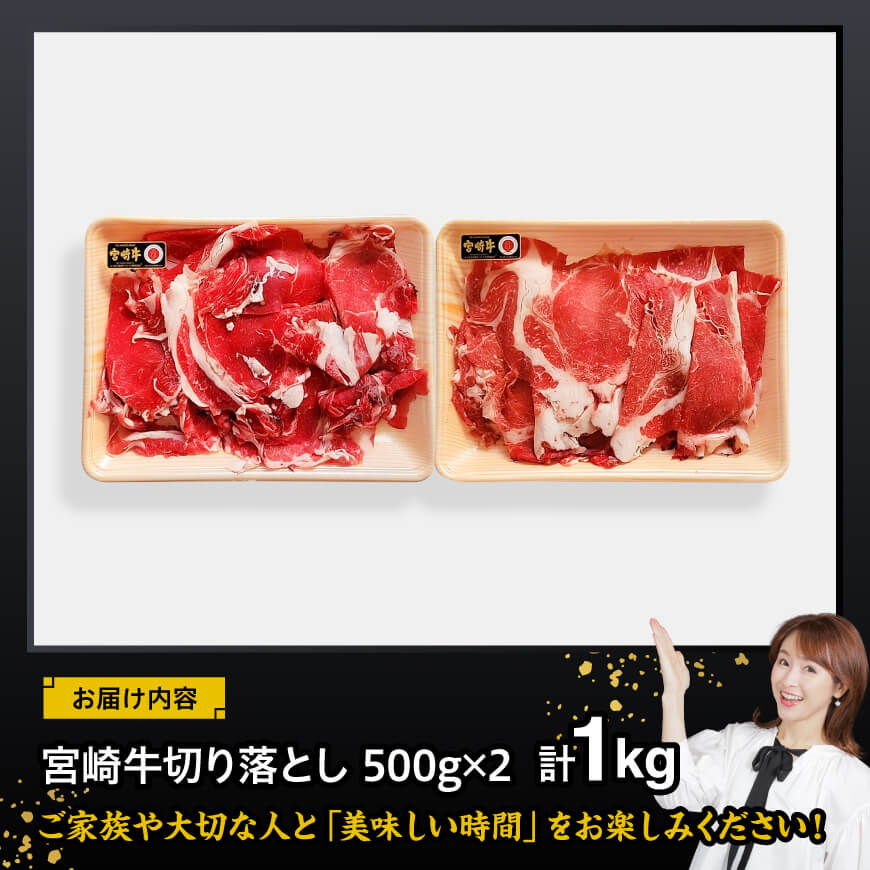 宮崎 牛切り落とし 1kg【 肉 牛肉 国産 宮崎県産 黒毛和牛 和牛 切り落とし 】[D11419]