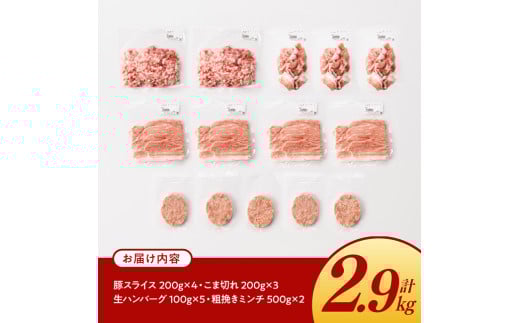 宮崎県産豚肉 「まるみ豚」 肉肉セット計2.9kg 【 肉 豚肉 国産 モモ ミンチ ハンバ―グ スライス こま切れ 弁当 おかず お手軽 真空パック 九州産 宮崎県産 川南町産 送料無料 】[D11519]