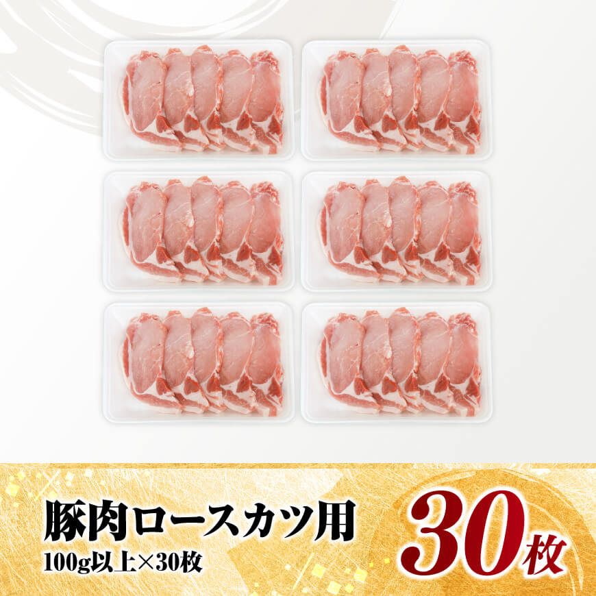 宮崎県産豚肉　ロースとんかつ用（100g以上×30枚） 【 豚肉 豚 肉 宮崎県産 ロースカツ 送料無料 】[C11620]