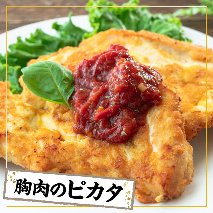 【小分け】宮崎県産若鶏　むね切身1.2kg（300g×4袋） 【 鶏肉 鶏 肉 宮崎県産 小分け パック 送料無料 】[C11622]