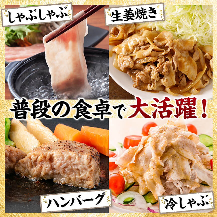 宮崎県産豚肉5種　3kg 【 豚肉 ぶた肉 肉 ロース バラ 切り落とし ミンチ 焼肉用 豚肉セット 】[C11627]