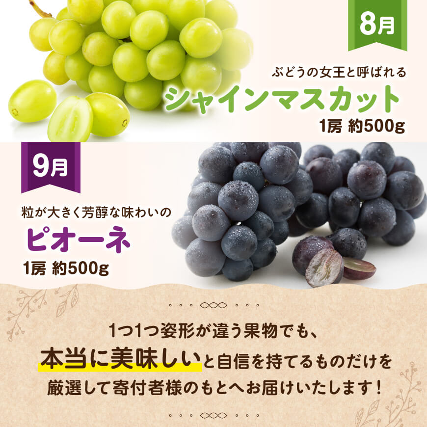 【全9回定期便】フルーツ満喫定期便　川南町産フルーツくだものフルーツきんかん果物フルーツいちごくだものフルーツ完熟マンゴー果物フルーツぶどうフルーツピオーネフルーツシャインマスカットフルーツ[D11701t9]