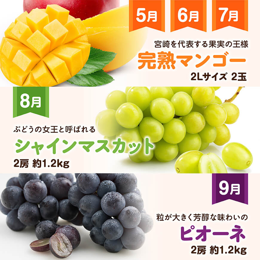 【12ヶ月定期便】超プレミアムデラックス定期便　川南町産フルーツくだものフルーツきんかんくだものフルーツいちご果物フルーツ完熟マンゴー果物フルーツぶどうフルーツピオーネフルーツシャインフルーツマスカットフルーツ大玉メロン[D11718t12]