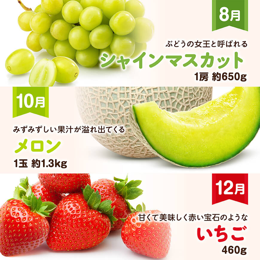 【全6回定期便】デラックス定期便【偶数月】　川南町産フルーツきんかんくだものフルーツいちごくだものフルーツ完熟マンゴー果物フルーツぶどうフルーツシャインマスカット果物フルーツメロンフルーツ[D11705t6]