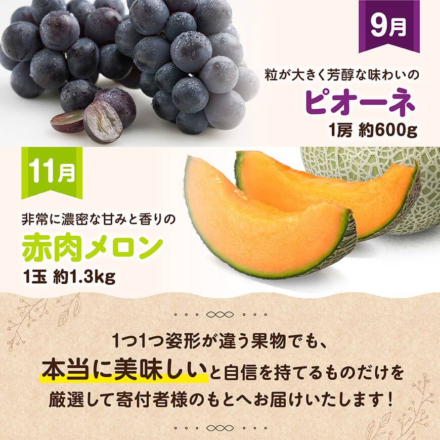 【全6回定期便】デラックス定期便【奇数月】　川南町産フルーツきんかんフルーツくだものいちごフルーツくだもの完熟マンゴーフルーツ果物ぶどうフルーツピオーネ果物フルーツ赤肉フルーツメロンフルーツ[D11706t6]