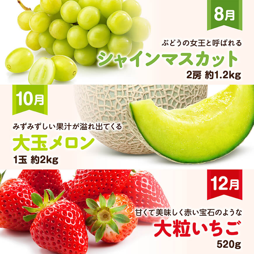 【全6回定期便】プレミアムデラックス定期便【偶数月】　川南町産フルーツいちごくだものフルーツ完熟マンゴーフルーツくだものぶどうフルーツ果物シャインマスカットフルーツメロン果物フルーツ[D11719t6]