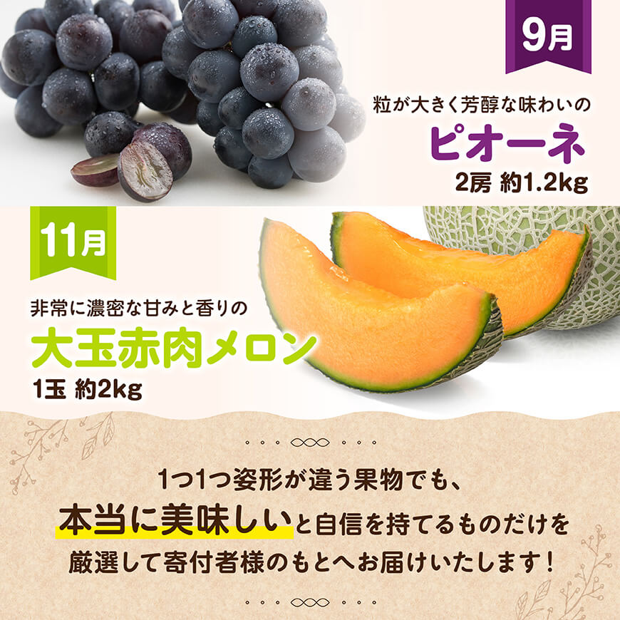 【全6回定期便】プレミアムデラックス定期便【奇数月】　川南町産フルーツきんかんくだものフルーツいちごくだものフルーツ完熟マンゴー果物フルーツぶどうフルーツピオーネフルーツ果物赤肉メロンフルーツ[D11716t6]