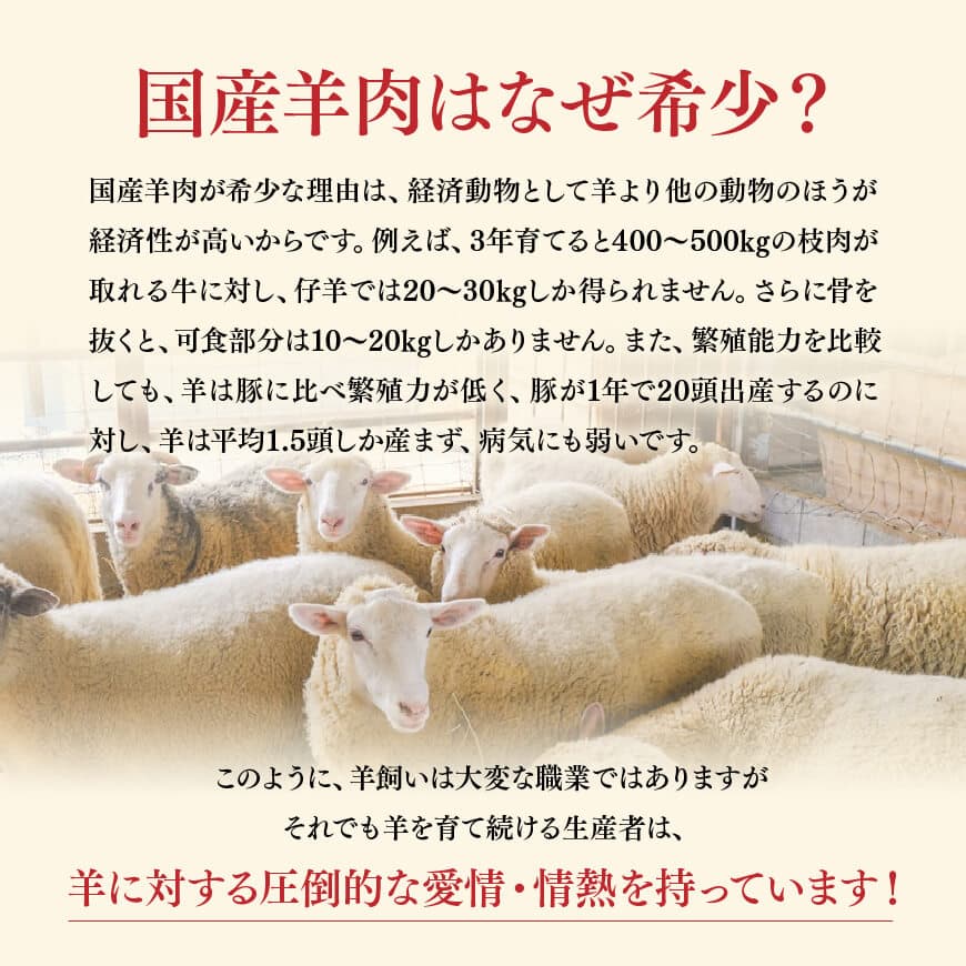 宮崎県産羊肉　寿ジンギスカン600g（300g×2） 【 肉 羊肉 国産 九州産 川南町産 ジンギスカン 羊 ひつじ 味付き 】[D11904]