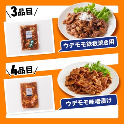 ※令和8年2月発送分※小分けで使いやすい！さんきょうみらい豚満喫セット　豚肉 加工品[E0102ar802] 令和8年2月発送分