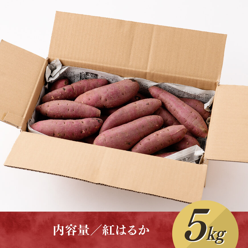 宮崎県産さつまいも　紅はるか5kg 【 宮崎県産 九州産 いも 芋 サツマイモ 野菜 】[C10005]