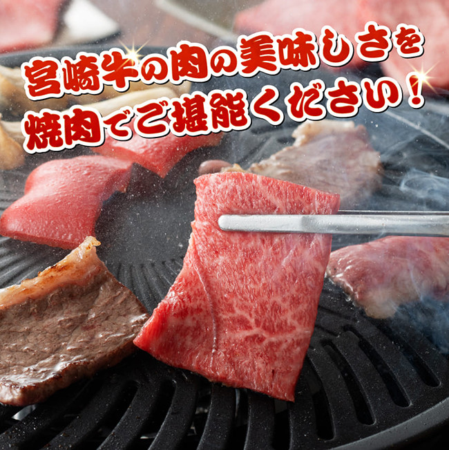 【令和8年1月発送】宮崎牛赤身霜降り焼肉2種 800g 【 肉 牛肉 国産 宮崎県産 宮崎牛 黒毛和牛 和牛 焼肉 BBQ 4等級 A4ランク 肩ロース ウデ モモ 】[E11124r801] 【令和8年1月発送】