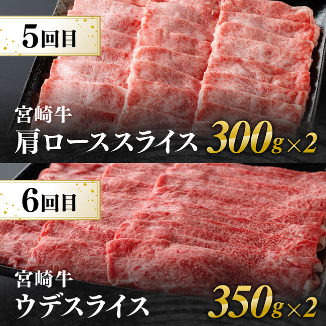 【6ヶ月定期便】宮崎牛すきしゃぶ 【肉 牛肉 スライス すき焼き しゃぶしゃぶ】 [E11131t6]