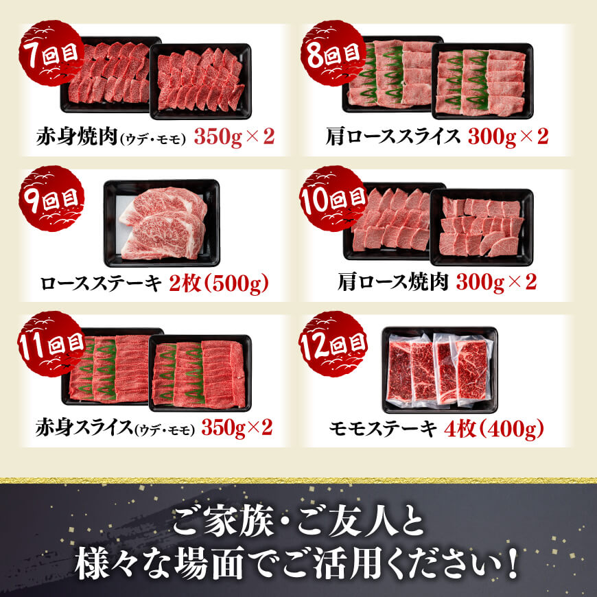 【12ヶ月定期便】宮崎牛定期便 牛肉 [C11123t12]