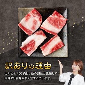 【令和8年2月発送】【訳あり】 宮崎牛 カルビ（ バラ ） 焼肉 500g 【 肉 牛肉 焼肉 BBQ 焼き肉 焼くだけ おかず 簡単調理 】[E11137r802] 【令和8年2月発送】
