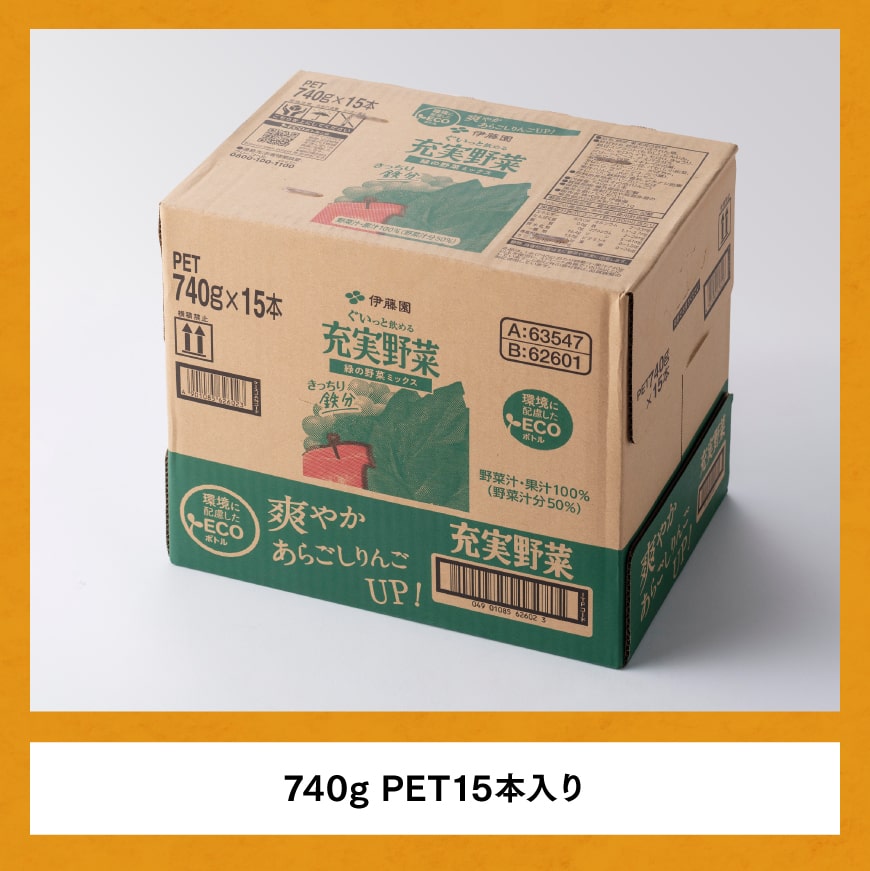 充実野菜 緑の野菜ミックスペットボトル 740g×15本　6ヶ月定期便　野菜ジュース[E7367t6]