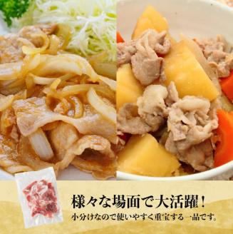 【小分け！】宮崎県産豚肉　放牧豚こま切れ　10袋(計2.5㎏)　豚肉[C08105]