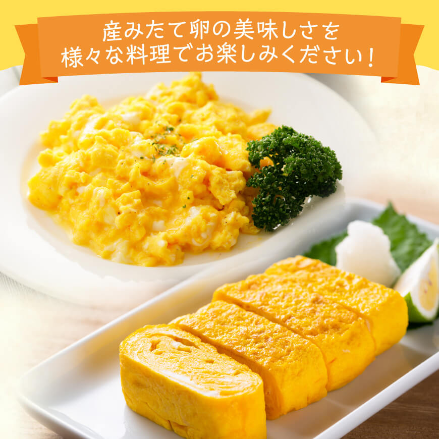 鮮々生々セット【卵 たまご 新鮮 生卵 タマゴ おうち時間】[H1403]