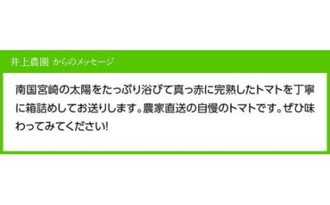 【令和8年発送】【訳あり】宮崎県産トマト　フルーツトマト「あいちゃん」3kg 【 野菜 ミニトマト とまと 宮崎県産 川南町産 野菜 産地直送 新鮮 数量限定 】[C03903]