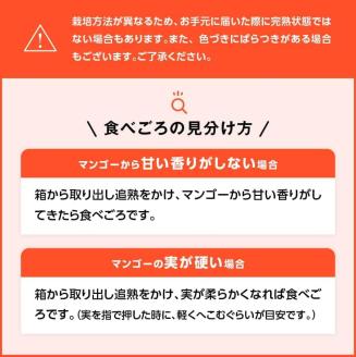 【令和8年発送】宮崎マンゴー 太陽の子６玉（2.7kg以上） 【 果物 フルーツ マンゴー 宮崎県産 みやざきマンゴー 】 [C06703]