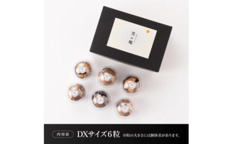 デカ黒にんにく「黒の塊」DX６粒【にんにく 国産 九州産 宮崎県産 発酵ニンニク 送料無料】[E10401]