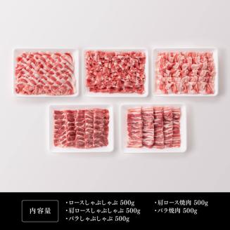 宮崎県産豚肉 小野さんちの"豚肉５種セット” 2.5kg 【 豚肉 豚 肉 宮崎県産 しゃぶしゃぶ 焼肉 セット 和洋中 】［E10506］