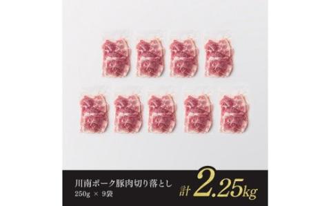 川南ポーク豚肉切り落とし2.25kg（250g×9袋） 【 豚肉 豚 肉 切落し 九州産 国産 宮崎県産 切り落し 】 [E5016]