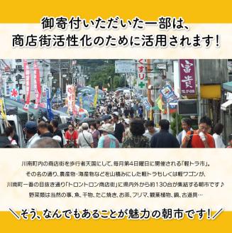 日本一の軽トラ市！オリジナル３点セット【 オリジナル 限定 トートバッグ 缶バッジ 手作り お守り 】[F5302]