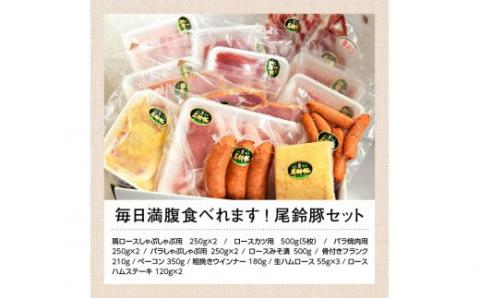 宮崎県産豚　毎日満腹食べられます!尾鈴豚セット 【 肉 豚肉 精肉 肉加工品 惣菜 詰め合わせ 】 [C00404]