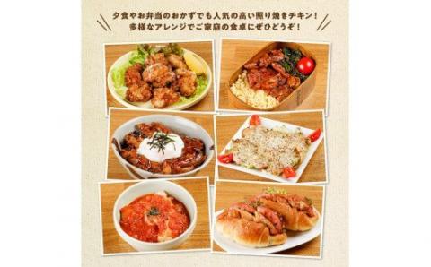 宮崎県産若鶏 若鶏の照り焼きチキン＆塩麹炒めセット 計2.6kg(130g×各10袋) 【 肉 鶏 鶏肉 惣菜 国産 九州産 宮崎県産 焼くだけ 簡単調理 簡単惣菜 小分け 照り焼きチキン 塩麴 おかず 】 [C00710]