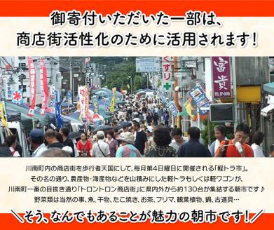 【12ヶ月定期便】宮崎県産若鶏　日南どり　もも肉＆むね肉　計4kg（各2㎏×1） 【 ふるさと納税 鶏肉 鶏 若鶏 もも むね セット 宮崎県産 川南町 おうち時間 おうちごはん 定期便 送料無料 】 [C05308t12]