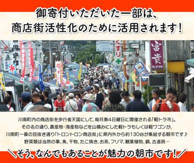 【12ヶ月定期便】宮崎県産若鶏　日南どり　もも肉＆むね肉＆手羽元　計6kg（各2㎏×1） 【 ふるさと納税 鶏肉 鶏 若鶏 もも むね 手羽元 セット 宮崎県産 川南町 おうち時間 おうちごはん 定期便 送料無料 】 [C05310t12]