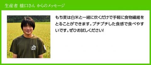 令和7年産 もち麦 2.5kg（500g×5袋） 【 ふるさと納税 国産 麦 もち麦 食物繊維 数量限定 宮崎県産 川南町産 送料無料 】 [C05401]