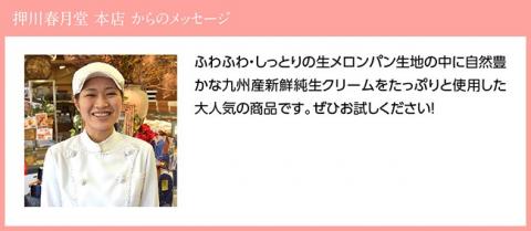 『押川春月堂本店』生メロンパン6個【スイーツ おやつ パン 大人気 生クリーム 川南町】[H2706]