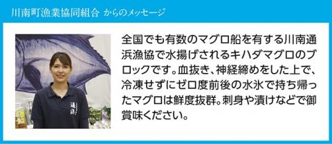 漁協直送！キハダマグロブロック（生）1kg 【 鮪 まぐろ 刺身 マグロ 漬け 新鮮 冷蔵 海の幸 魚介 送料無料 】 [H170801]
