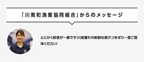 漁協直送！天然タコ（湯がき済）小分けで1kg前後 【 たこ 蛸 海産物 日向灘 地どれ 】 [C01709]