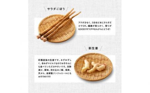 産直　おすず村　厳選詰め合わせセット（小） 【 旬野菜 フルーツ 直売所 産地直送 宮崎県産 】[G3801]