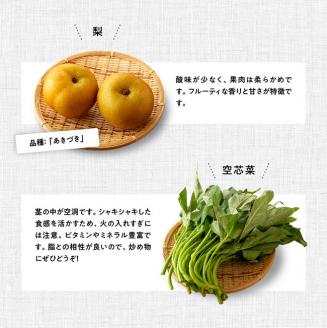 【定期便】産直おすず村 季節の野菜と果物 厳選 詰め合わせセット（大） 【 旬野菜 フルーツ 直売所 産地直送 宮崎県産 】[G3804]