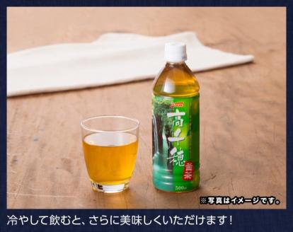 『サンＡ高千穂釜炒り茶』500ml×36本セット　お茶釜炒り茶飲料お茶レジャー行楽ペットボトルお茶長期保存お茶備蓄お茶 [H3010-1]