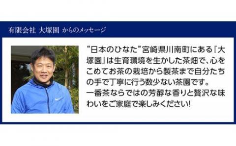 The FIRST GREEN TEA(500ml×24本)　お茶緑茶飲料お茶プリンスホテル九州お茶宮崎お茶備蓄お茶川南町 [H2204]